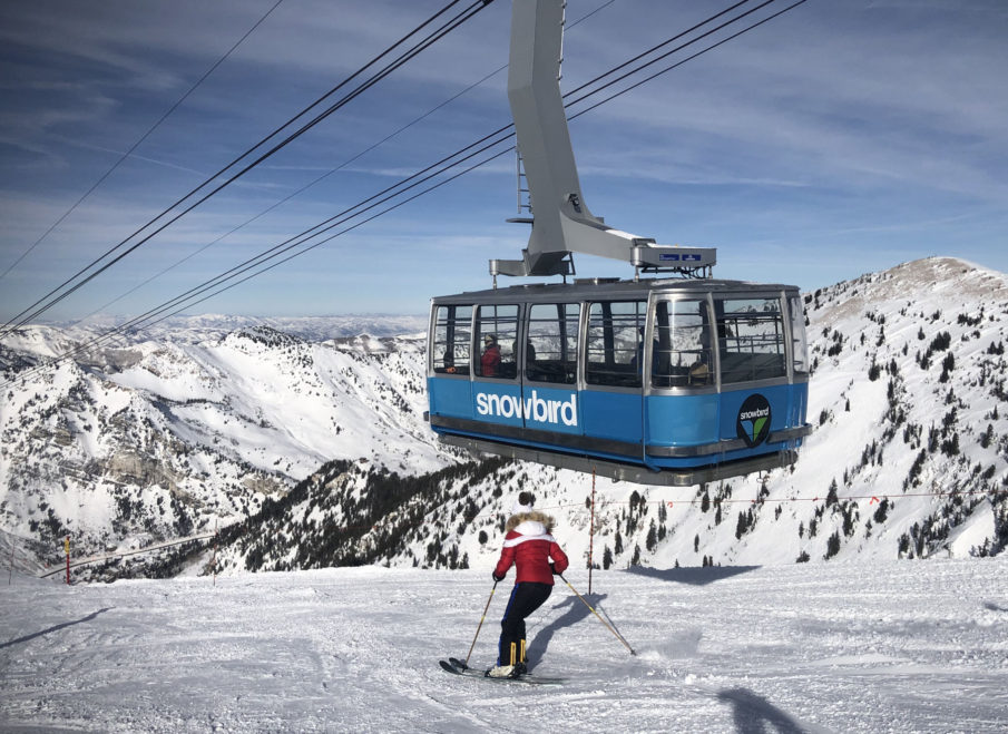 snowbird travel